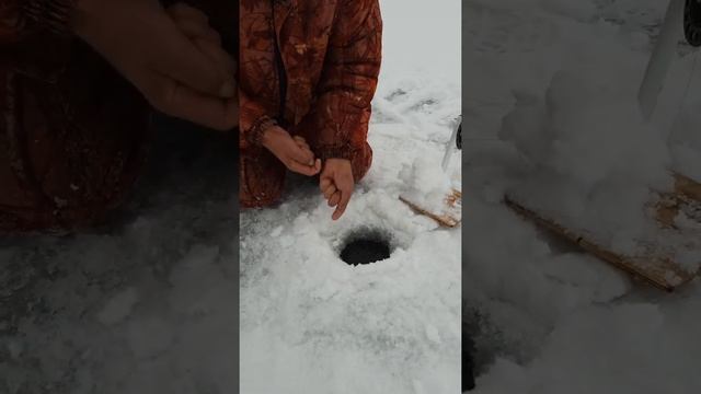 ЗИМНЯЯ РЫБАЛКА В СЫЗРАНИ смотреть онлайн
