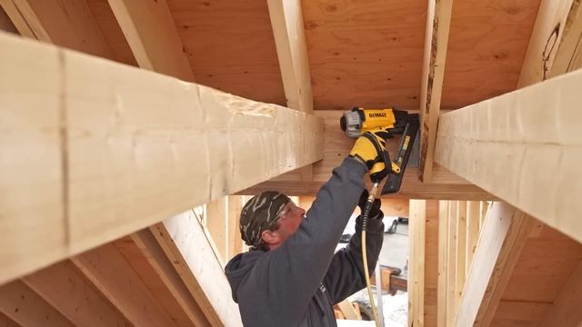 DEWALT Construction Nailers смотреть онлайн