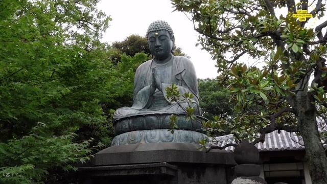 ?Мантра-Царица,абсолютного единения со Вселенной!!! смотреть онлайн