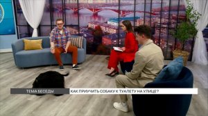 Как приучить собаку к туалету на улице?