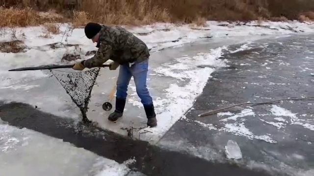 Рыбалка по первому льду. Первый налим. смотреть онлайн