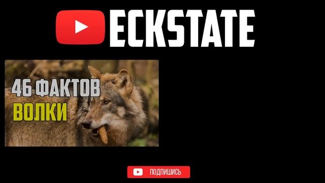 36 ИНТЕРЕСНЫХ ФАКТОВ О БУМАГЕ смотреть онлайн