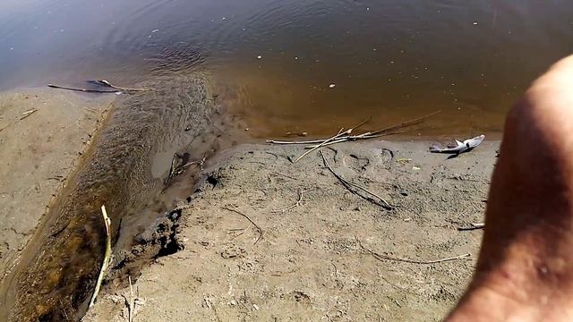 И так бывает. Спиннинг на Чумыше. смотреть онлайн