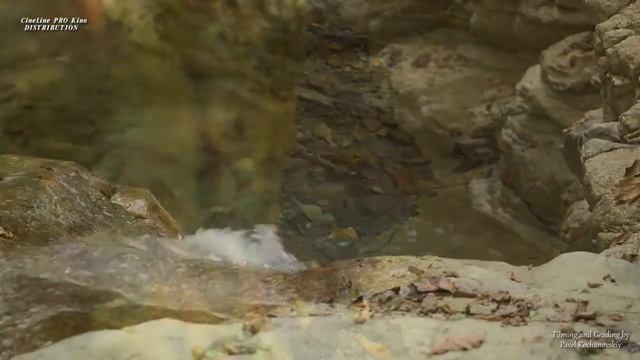 Каньон "Прохладный" Сочи смотреть онлайн