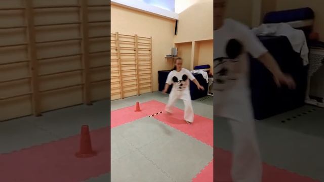 Общая физическая подготовка в айкидо /General physical preparation in aikido смотреть онлайн