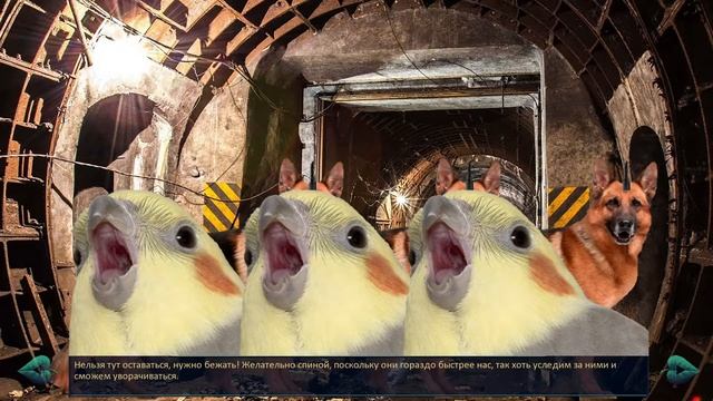 Через пупок к свободе! Откуда здесь бассейн?! - Бесконечное лето: История двух студентов 3 #9 смотреть онлайн