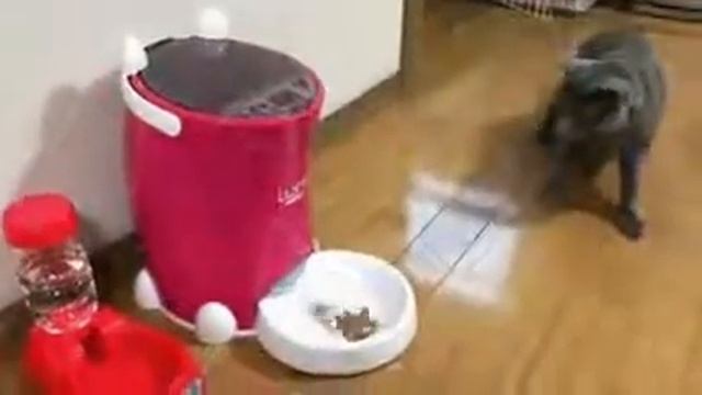 Автоматика! Вот это реакция! смотреть онлайн