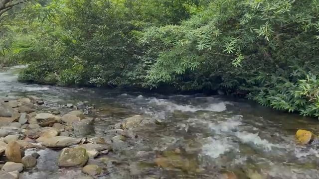 Calming Mountain Stream Sounds, Beautiful River Sounds For Sleeping, ASMR Nature Sounds смотреть онлайн