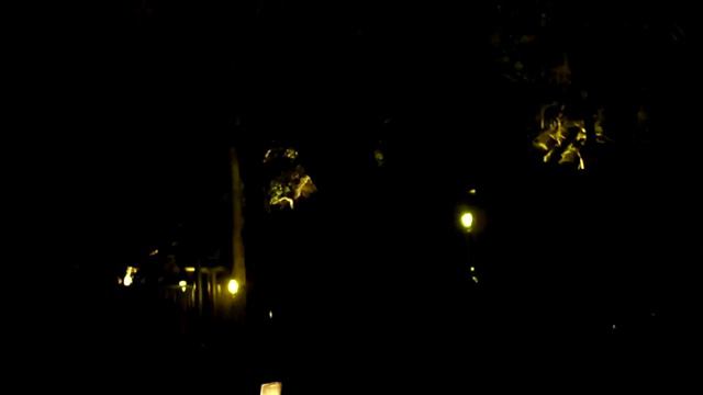 Kruger - Protea dinner show смотреть онлайн