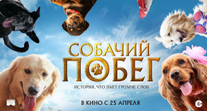 Собачий побег