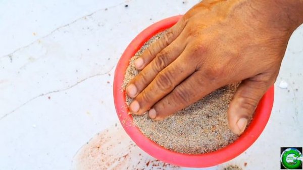 How to Grow and Care Cactus || कैक्टस की देखभाल || Soil mix for Cactus 🌵