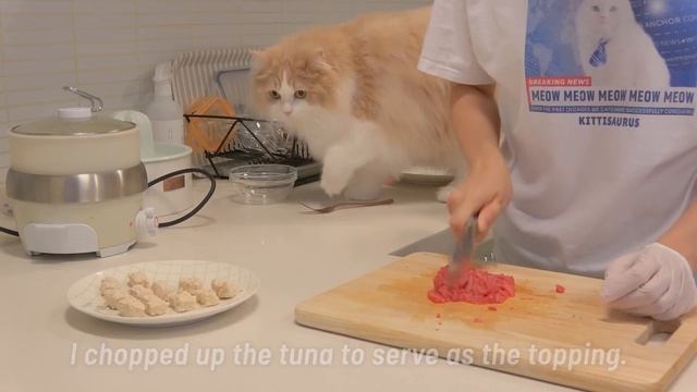 LuLu Om Nom Noms Sushi In One Bite! | Kittisaurus