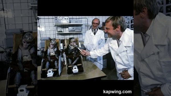 Бион-7 (Космос 1667) Bion-7 (Kosmos 1667) - english