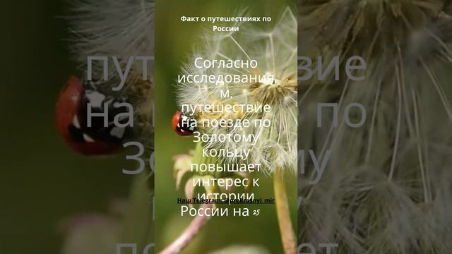 Факт о путешествиях по России смотреть онлайн