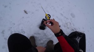 На САМУЮ ТОНКУЮ ЛЕСКУ В МИРЕ КЛЮЮТ КАБАНЫ В ГЛУХОЗИМЬЕ! Зимняя рыбалка 2021! Ловля леща окуня плотв