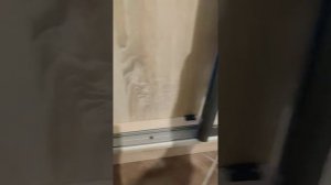 Кошачий туалет без запаха