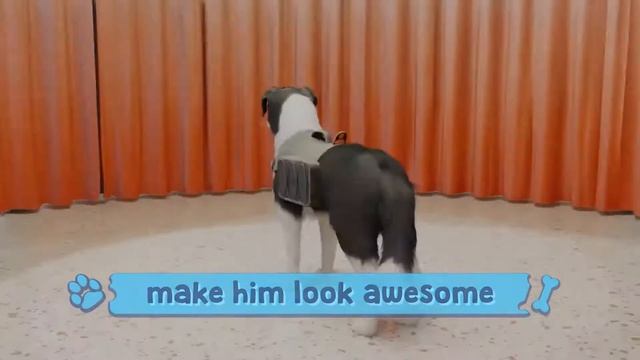 Dog Trainer - Reveal Teaser