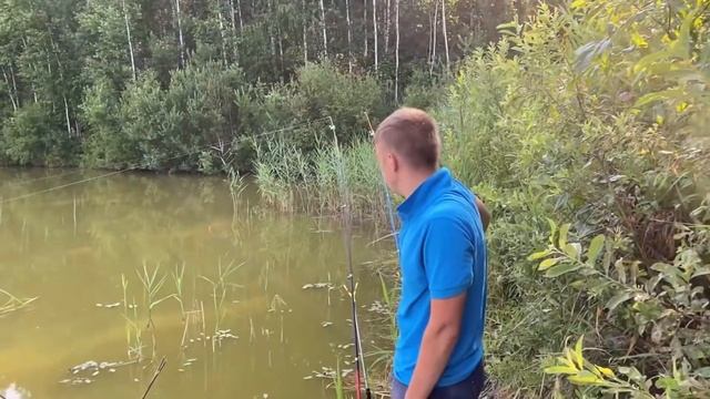 Рыбалка на УБИЙЦУ КАРАСЯ, Огромный карась, линь на СЕКРЕТНОМ ВОДОЁМЕ смотреть онлайн