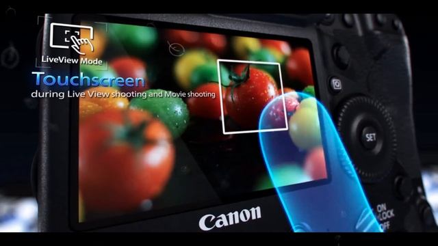 Canon EOS 1DX Mark II смотреть онлайн