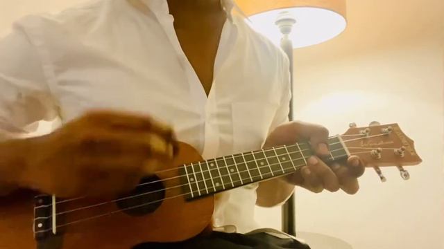 Rain drops keep falling on my head (Ukulele Cover) смотреть онлайн