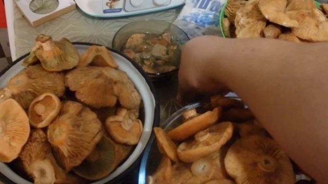 Рыжики, #холодный способ засолки #Галкинtv смотреть онлайн