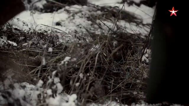 Как царь Петр Выборг брал. Падение неприступной крепости смотреть онлайн