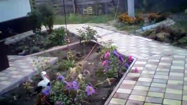 Как правильно ложить тротуарную плитку смотреть онлайн