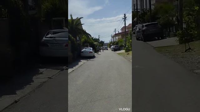 Любимый Адлер. смотреть онлайн