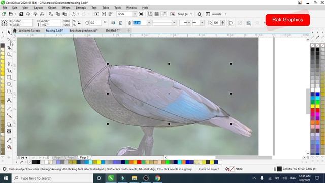 Duck vector Illustration in Corel draw | Rafi Graphics смотреть онлайн