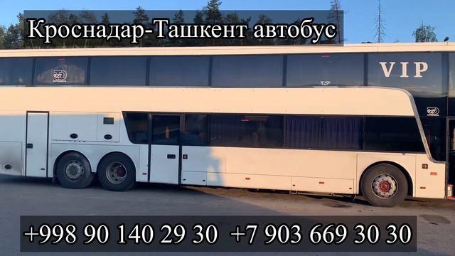 Краснодар Ташкент автобус￼ Ростов Ташкент автобус смотреть онлайн