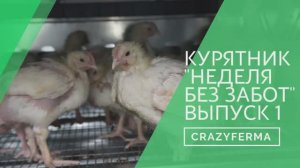 Рассказываем о новом курятнике для бройлеров _Неделя без забот_. Выпуск 1. Инновационный курятник!