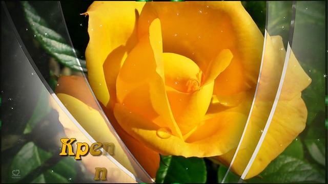 Добрый вечер милые друзья! Счастья и добра я всем желаю! 💌💖 Красивая музыкальная открытка! 🌙⭐ смотреть онлайн