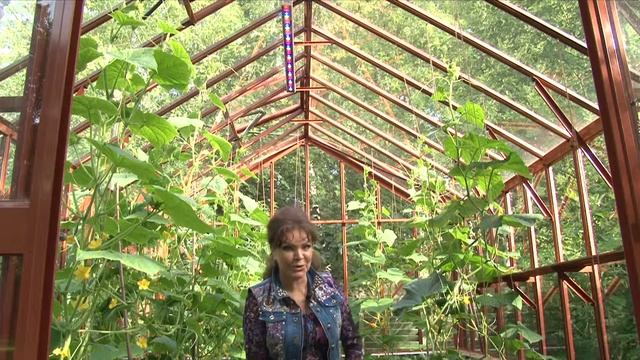 Теплица Бриттон - свет смотреть онлайн