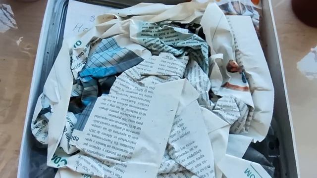 ОСТАТЬСЯ В ЖИВЫХ! 30 ДНЕЙ И 15 ТЫС. КМ ШЛА ПОСЫЛКА С КАНАР ВО ВЛАДИВОСТОК. КАКИЕ РАСТЕНИЯ ВЫЖИЛИ??? смотреть онлайн