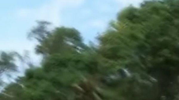 угандский филмь uganda film