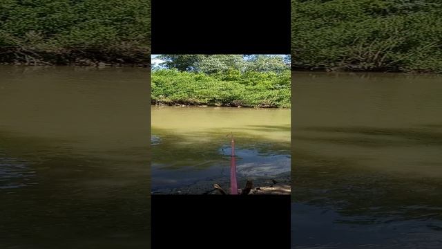 хорошо выбраться на природу с удочкой #природа_россии #речка #рыбалка #одых на природе смотреть онлайн