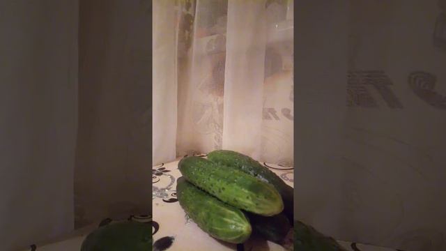 ДЕРЕВЕНСКИЙ ДНЕВНИК очень многодетной мамы / БАТАРЕЯ СУДЬБЫ смотреть онлайн