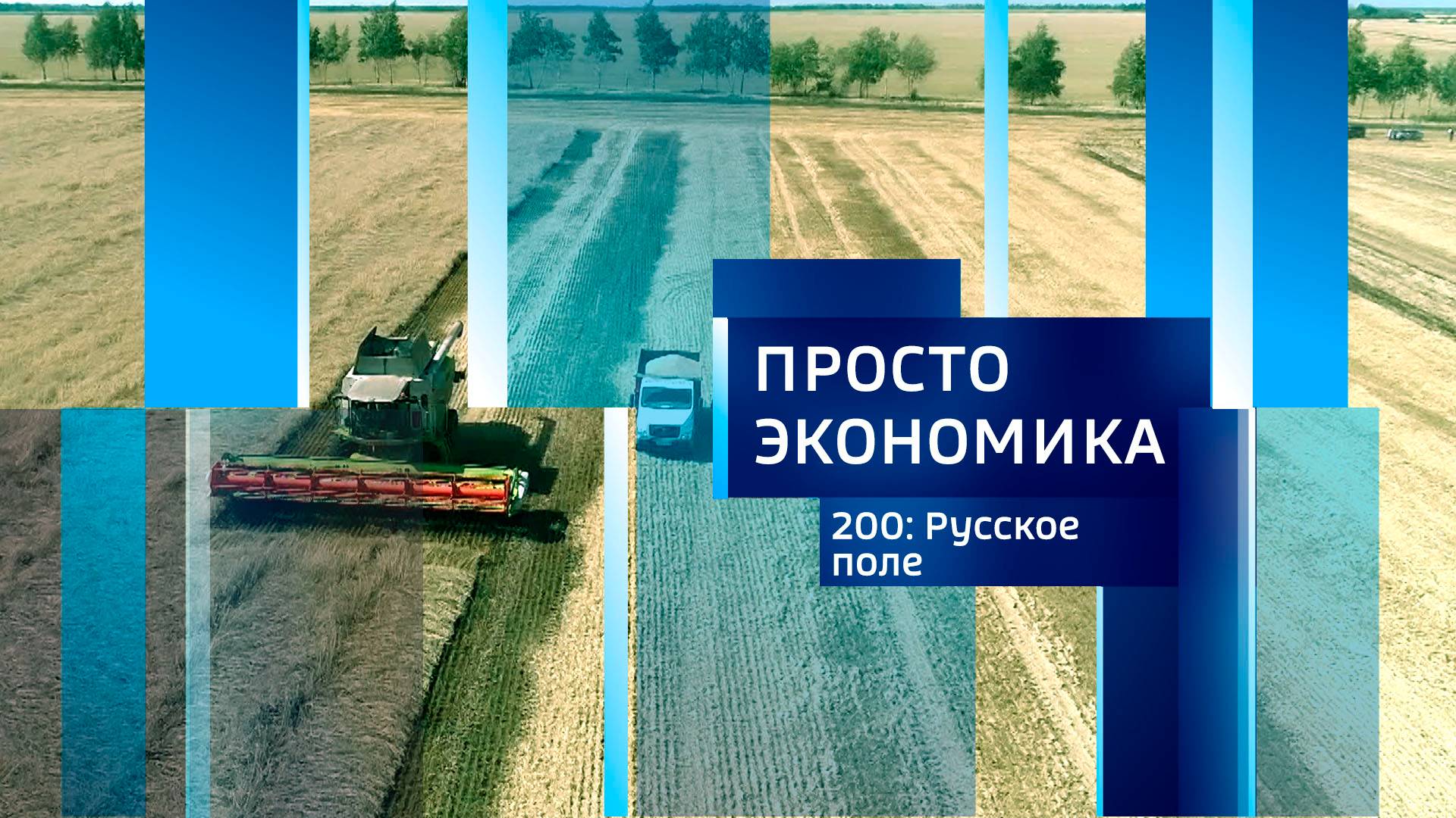 Просто экономика N200
