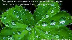 День 5. Марафон Изобилия. 21 день Изобилия. Дипак Чопра