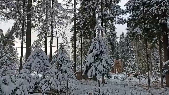 участок 13 соток Черемыкино