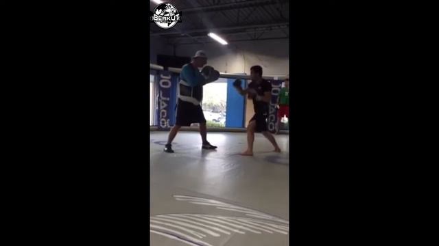 Муса Хаманаев подготовка к предстоящему бою смотреть онлайн