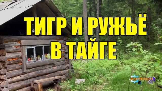 АТАКА ТИГРА ОХОТНИК ЖИЗНЬ В ТАЙГЕ смотреть онлайн