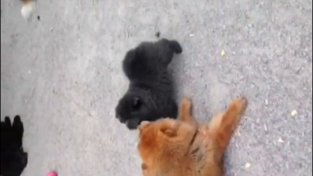 Горячий русский парень в Финляндии смотреть онлайн