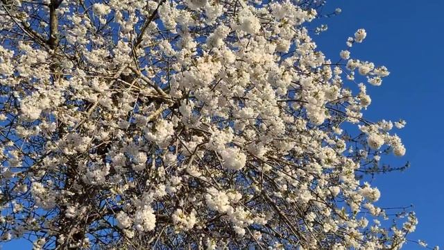 31марта как делаем пакеты смотреть онлайн