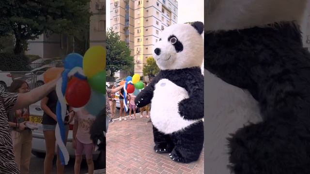 Экспресс поздравление в Израиле ☎️0547011940 смотреть онлайн