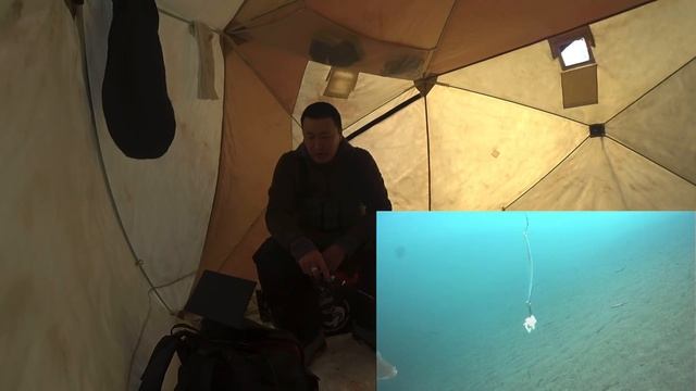 ЯМА В КОТОРОЙ ЖИВУТ ТАЙМЕНИ!!! смотреть онлайн