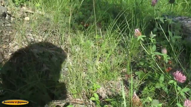 У природы нет плохой погоды.Песня.Отдельное видео. смотреть онлайн