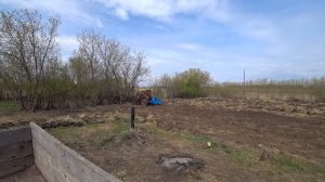 Работа Т-40 АМ с почвофрезой по целику после плуга.