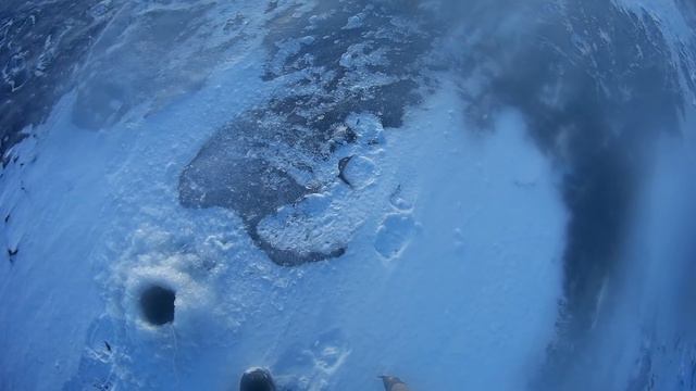 рыбалка зимой 25.01.2017 ветер смотреть онлайн
