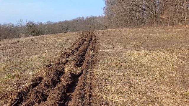 ДТ 75 пашет БЕТОН ? Было трудно, но он смог. Пахота целины на зябь. смотреть онлайн